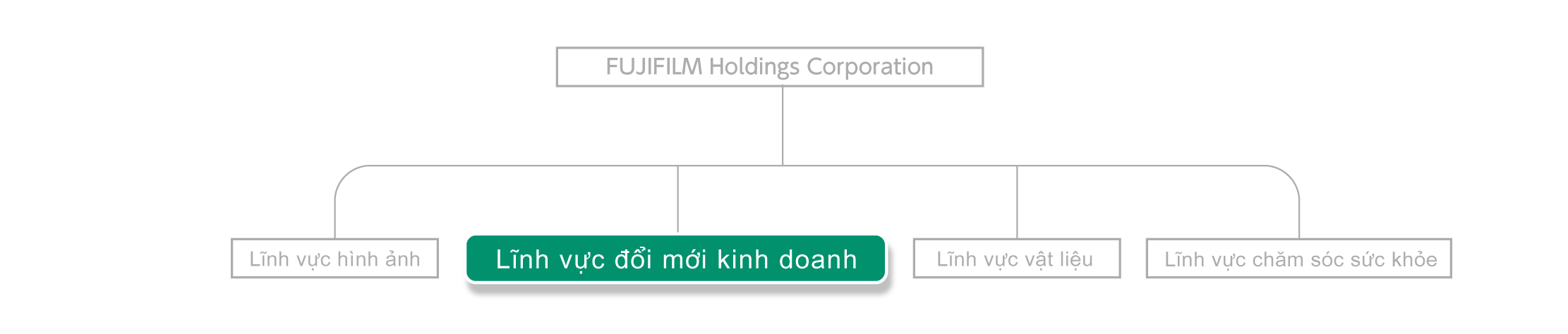 Fujifilm Holdings đang triển khai 4 lĩnh vực kinh doanh, và đang góp phần vào sự phát triển của khách hàng thông qua hoạt động kinh doanh đổi mới kinh doanh.